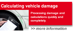 Calculating vehicle damage